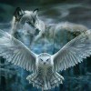 5D DIY Diamond Painting Kits Dream Cool Wolf Eagle