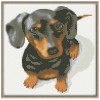 5D DIY Diamond Painting Kits Cute Animal Dog