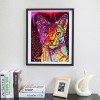 2019 Special Cheap Cute Cat Pet 5d Diy Diamond Painting Kits