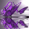 2019 New Hot Sale Purple Butterfly 5d Cross Stitch Rhinestone Painting
