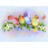 2019 New Hot Sale Colorful Love Bird 5d Diy Diamond Painting Kits
