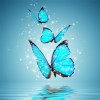 5D DIY Diamond Painting Kits Dream Beautiful Butterfly