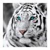 5D DIY Diamond Painting Kits Serious Tiger