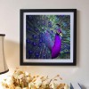 5D DIY Diamond Painting Kits Purple and Blue Oil Painting Styles Peacock