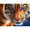 2019 New Hot Sale Blue Eyed Tiger Diy 5D Embroidery Diamond