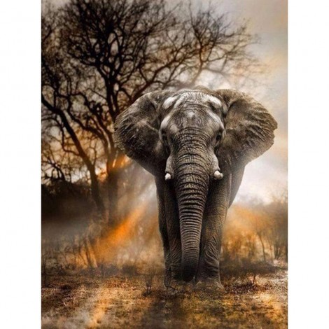 5D DIY Diamond Painting Kits Cool Elephant In Natural
