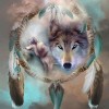 5D DIY Diamond Painting Kits Cool Dream Catcher Animal Wolf