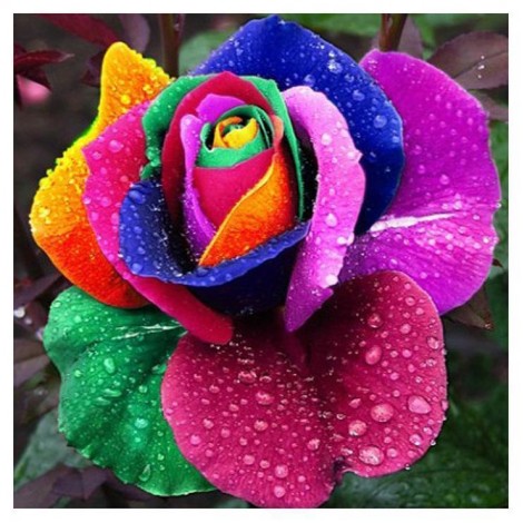 5D DIY Diamond Painting Kits Pretty Colorful Rose
