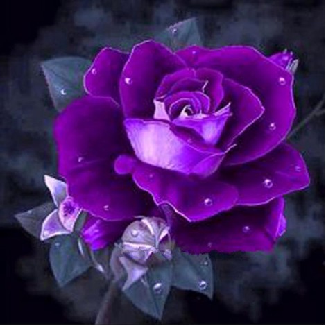 5D DIY Diamond Painting Kits Pretty Purple Rose