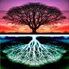 5D DIY Diamond Painting Kits Colorful Fantasy Tree Different Reflection