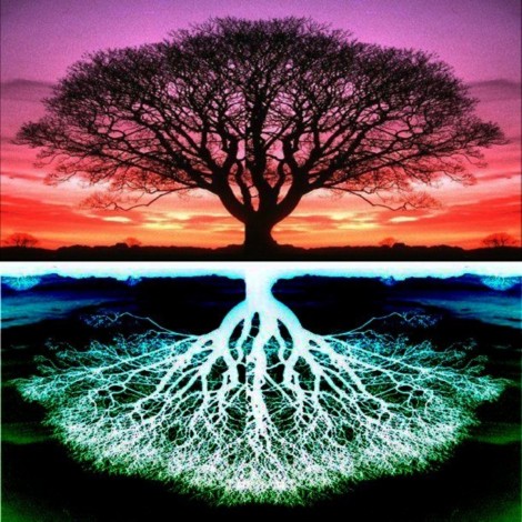 5D DIY Diamond Painting Kits Colorful Fantasy Tree Different Reflection
