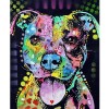 2019 Special Colorful Dog 5d Diy Full Square Diamond Painting Kits